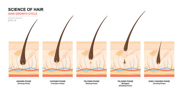 laser-ipl