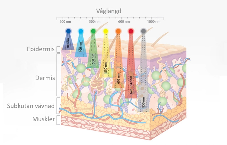 Skin tissue